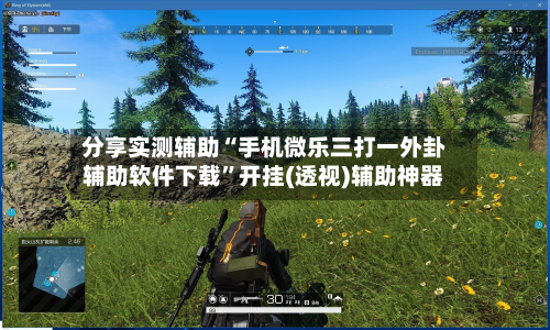 分享实测辅助“手机微乐三打一外卦辅助软件下载	”开挂(透视)辅助神器-第1张图片