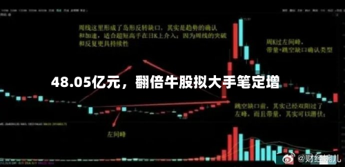 48.05亿元	，翻倍牛股拟大手笔定增-第3张图片