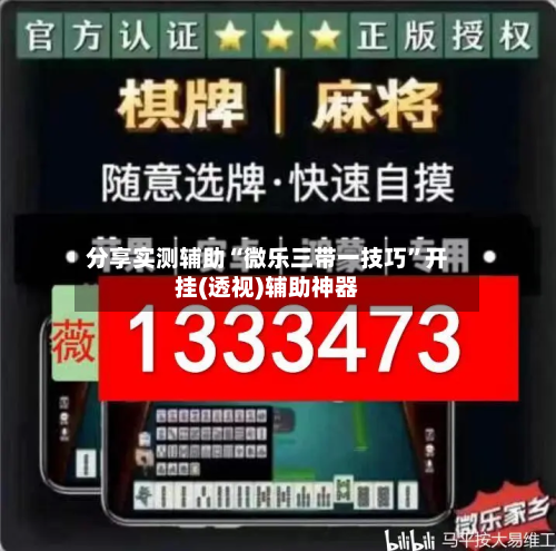分享实测辅助“微乐三带一技巧”开挂(透视)辅助神器-第1张图片