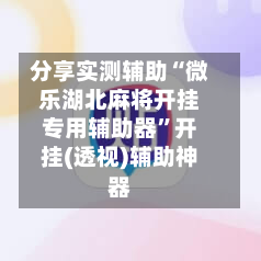 分享实测辅助“微乐湖北麻将开挂专用辅助器	”开挂(透视)辅助神器-第2张图片