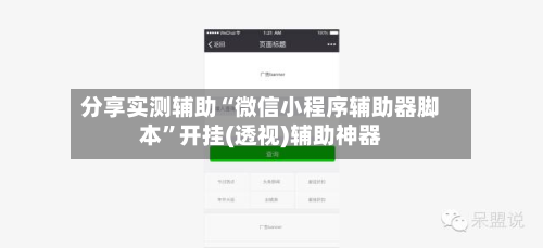 分享实测辅助“微信小程序辅助器脚本”开挂(透视)辅助神器-第1张图片