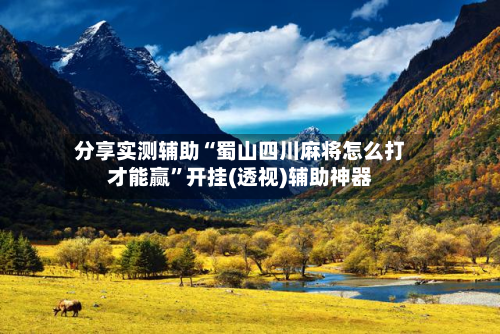 分享实测辅助“蜀山四川麻将怎么打才能赢	”开挂(透视)辅助神器-第1张图片