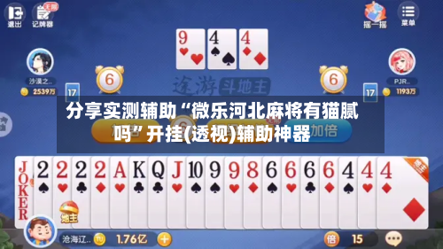 分享实测辅助“微乐河北麻将有猫腻吗”开挂(透视)辅助神器-第1张图片