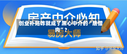 创业补贴咋就成了黑心中介的“唐僧肉”？-第2张图片