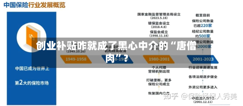 创业补贴咋就成了黑心中介的“唐僧肉	”？-第3张图片