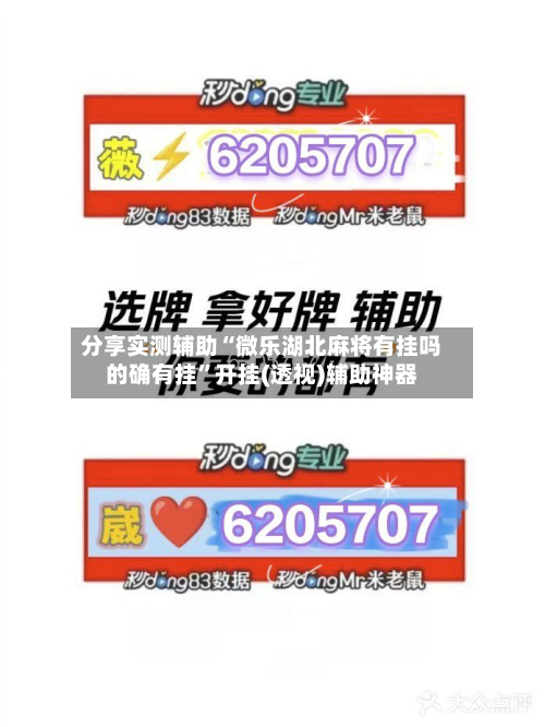分享实测辅助“微乐湖北麻将有挂吗的确有挂”开挂(透视)辅助神器-第3张图片
