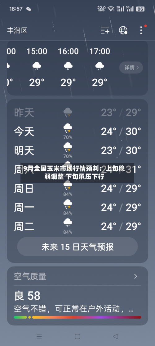 9月全国玉米市场行情预判:上旬稳弱调整 下旬承压下行-第2张图片