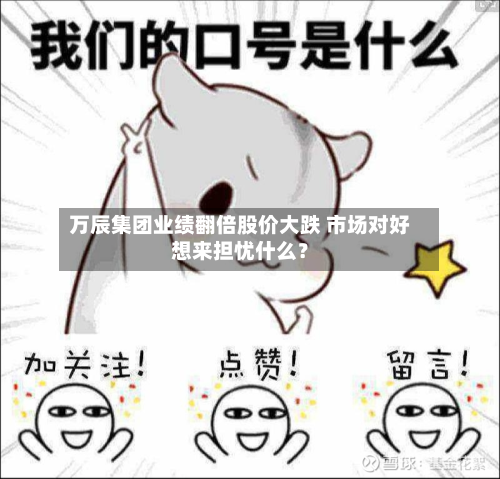 万辰集团业绩翻倍股价大跌 市场对好想来担忧什么?-第1张图片