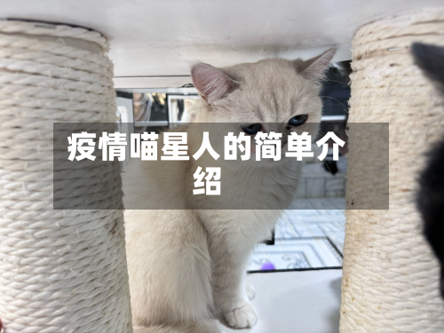 疫情喵星人的简单介绍-第1张图片