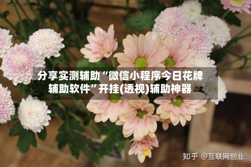 分享实测辅助“微信小程序今日花牌辅助软件”开挂(透视)辅助神器-第1张图片
