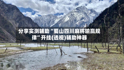 分享实测辅助“蜀山四川麻将输赢规律”开挂(透视)辅助神器-第3张图片
